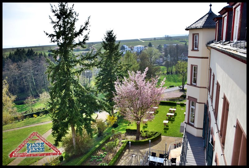 plern-trier110