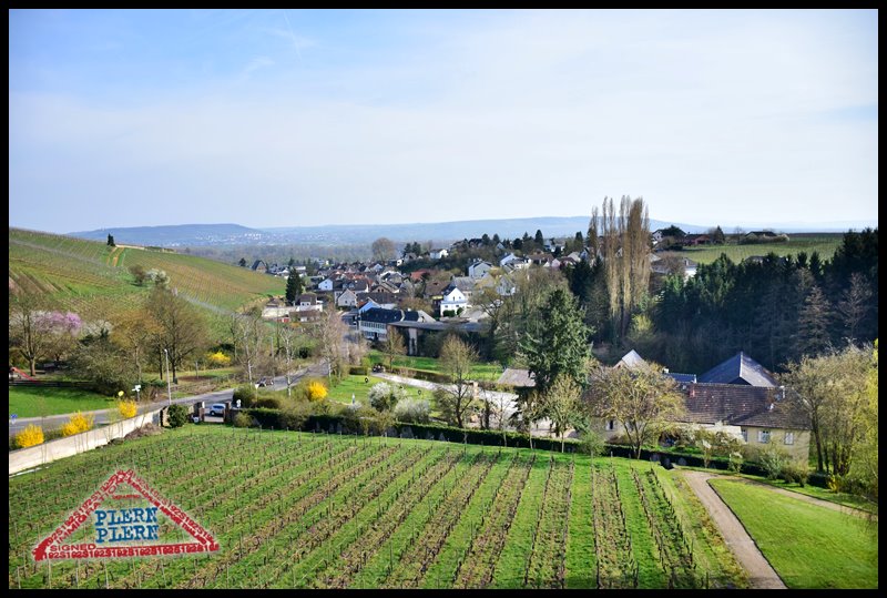 plern-trier111