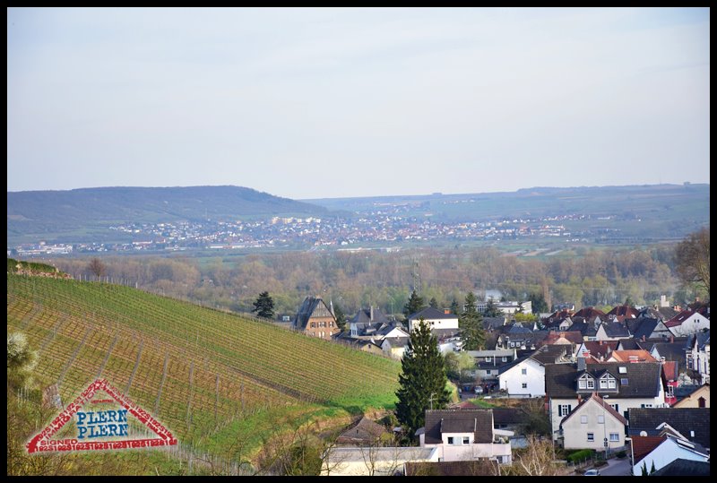plern-trier116