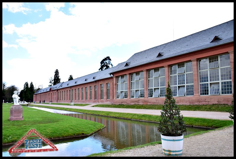 plern-wein31