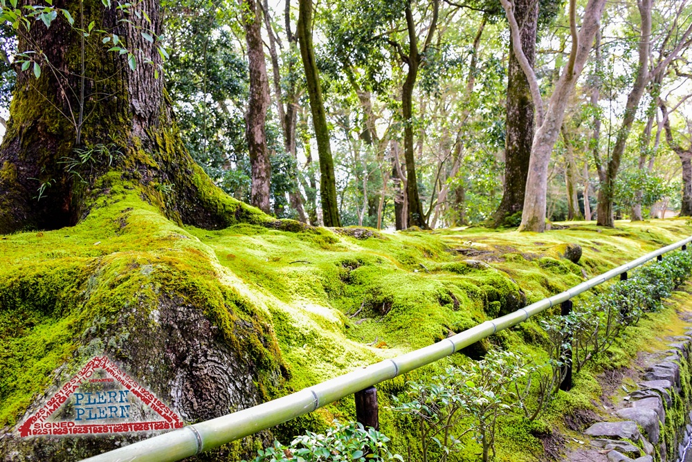 japan2015_152